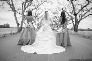 Mauritius Best Wedding Photo- Christian, churn, beach wedding (228)