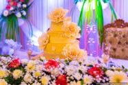 best-wedding-photographer-mauritius-tamil-wedding-engagement-civil-wedding-coromandel-diksh-potter-photographer-10